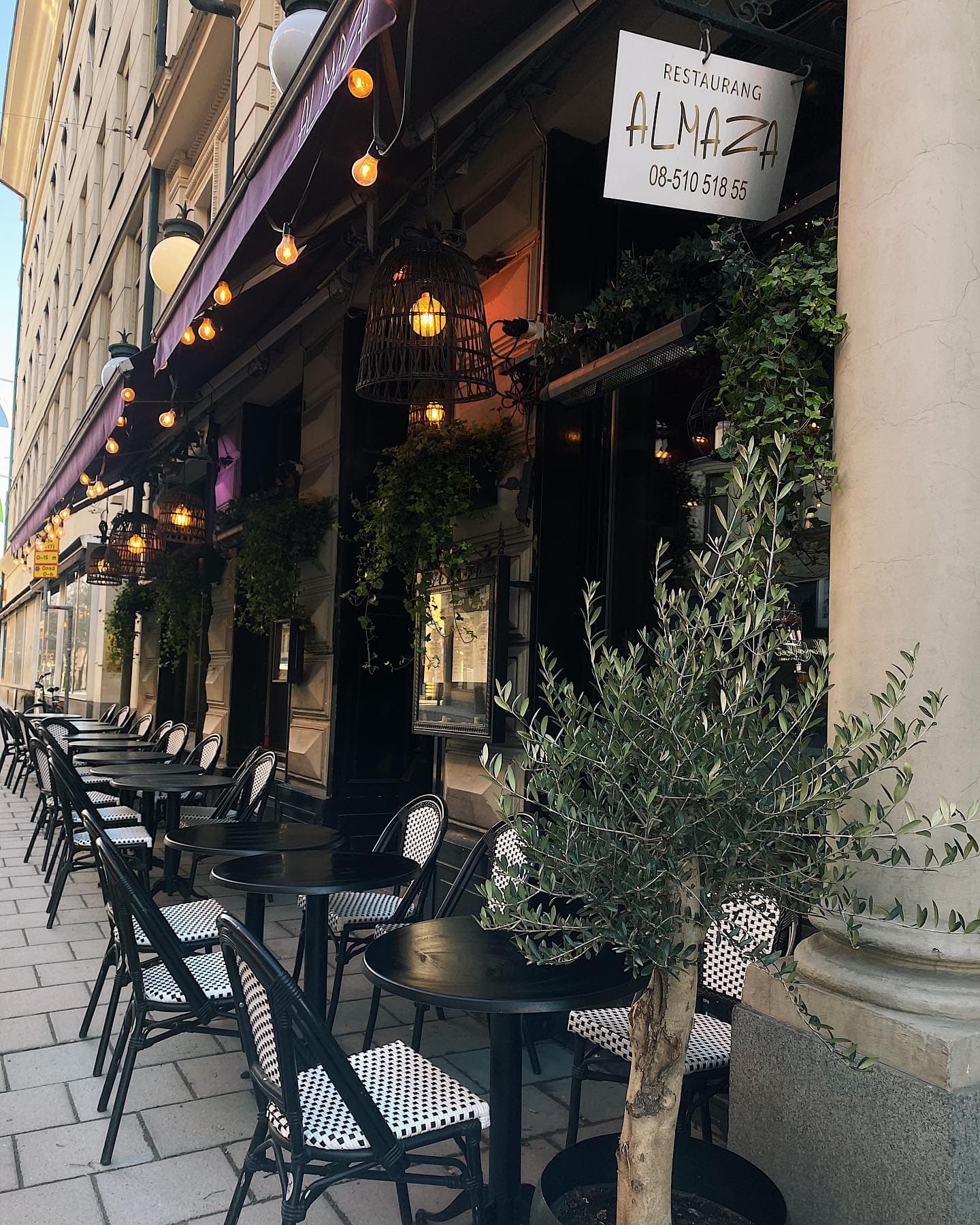 Almazas uteservering längs Scheelegatan med bistrostolar, ljusslingor och ett olivträd